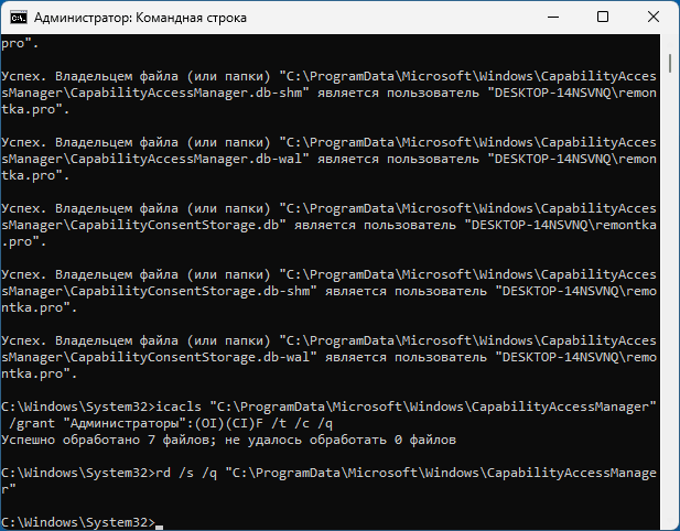 Очистка папки CapabilityAccessManager