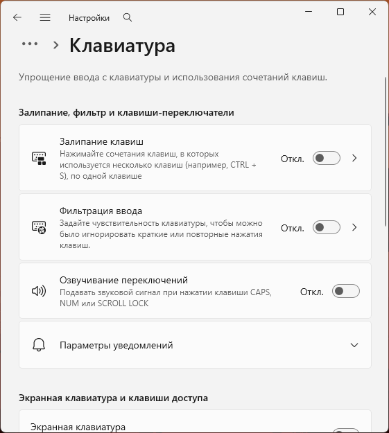Пример настроек специальных возможностей клавиатуры в Windows