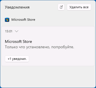 Microsoft Store установлен в системе